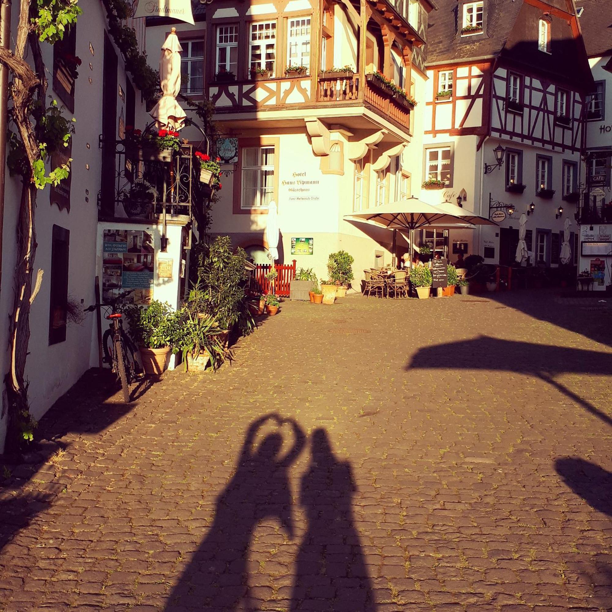 Hotel Restaurant Alte Stadtmauer 拜尔施泰因 外观 照片