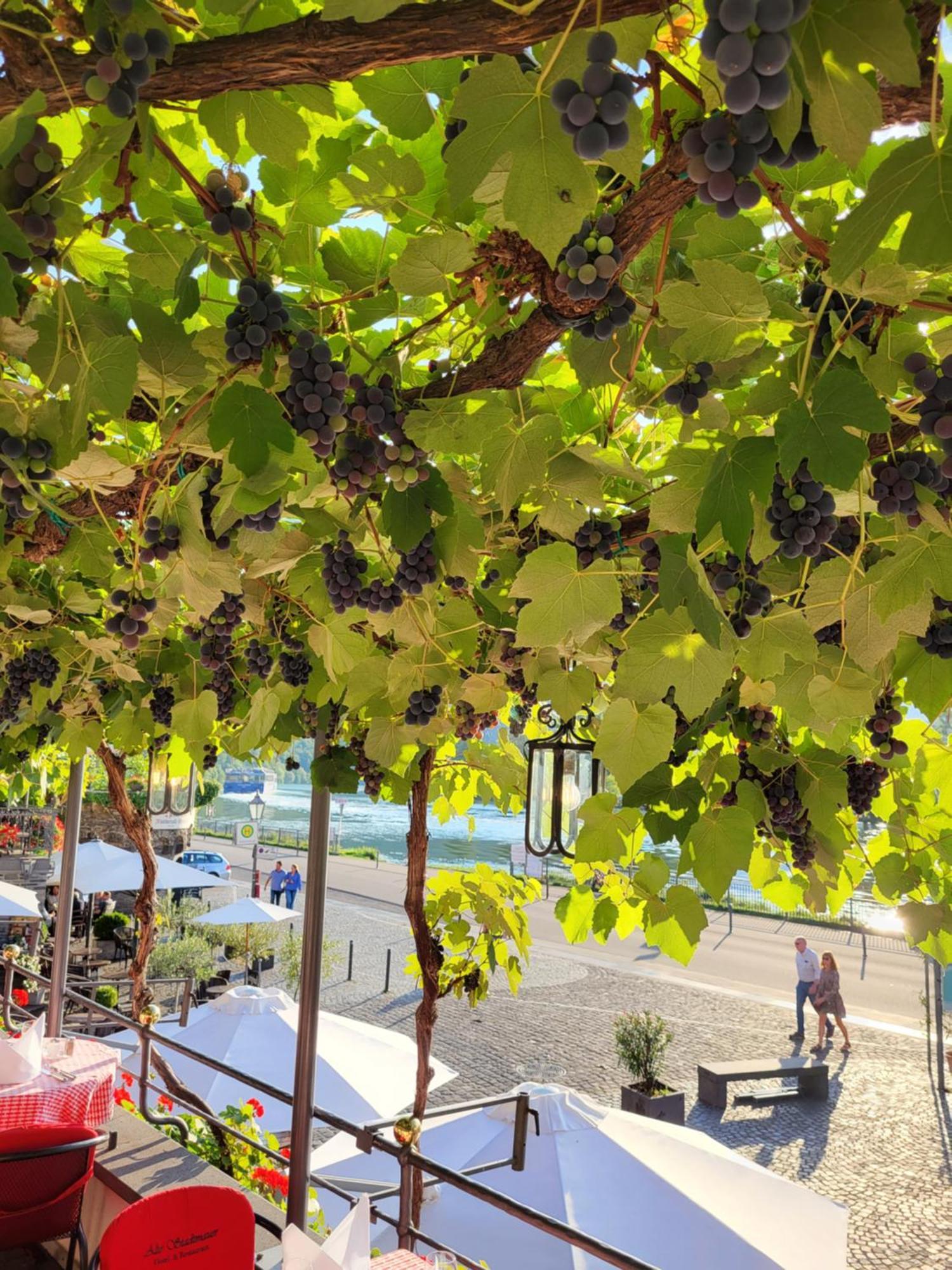 Hotel Restaurant Alte Stadtmauer 拜尔施泰因 外观 照片