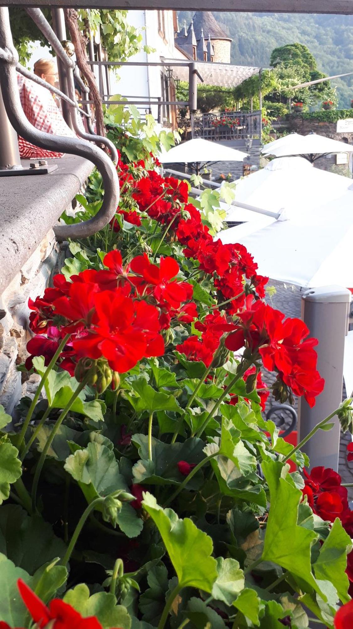 Hotel Restaurant Alte Stadtmauer 拜尔施泰因 外观 照片